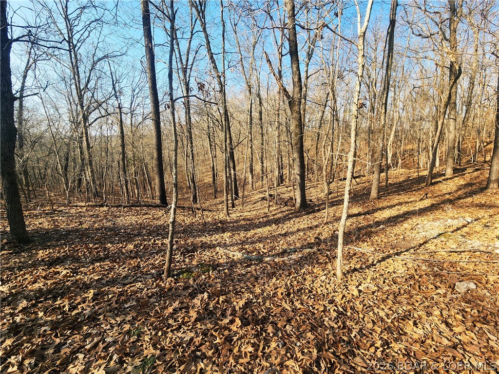 18 Brown Road Tuscumbia, MO 65082 - Photo 30 of 57