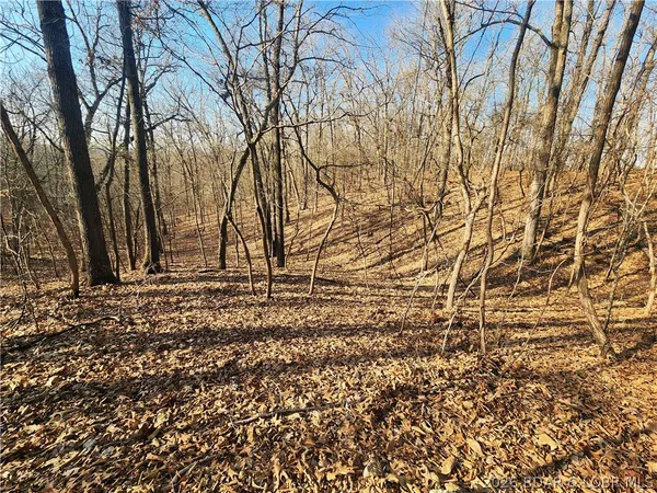 $930,000 | 18 Brown Road, Tuscumbia, MO 65082