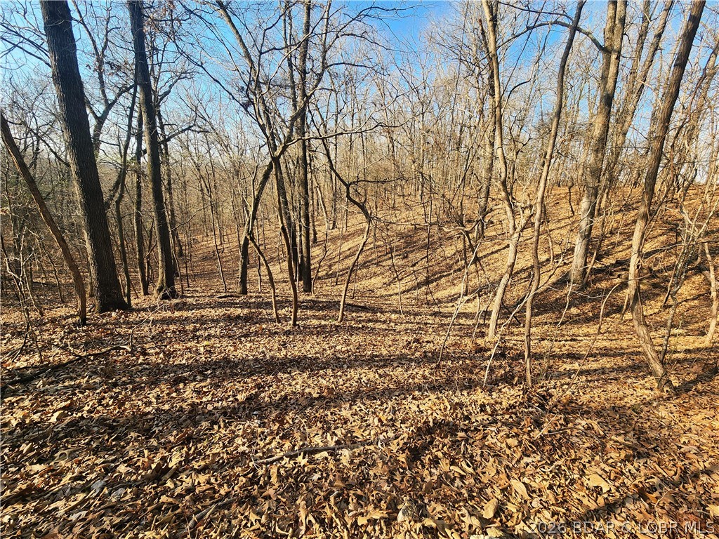 18 Brown Road Tuscumbia, MO 65082 - Photo 31 of 57