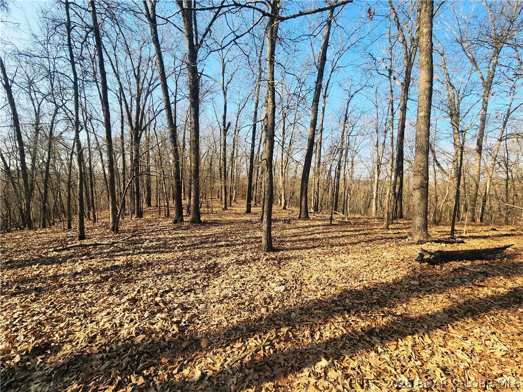 18 Brown Road Tuscumbia, MO 65082 - Photo 32 of 57