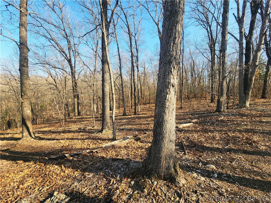 18 Brown Road Tuscumbia, MO 65082 - Photo 33 of 57