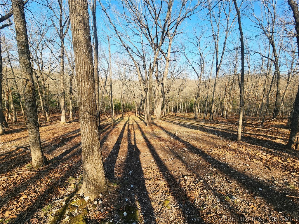 18 Brown Road Tuscumbia, MO 65082 - Photo 34 of 57