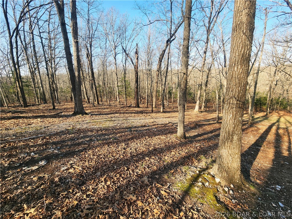 18 Brown Road Tuscumbia, MO 65082 - Photo 35 of 57