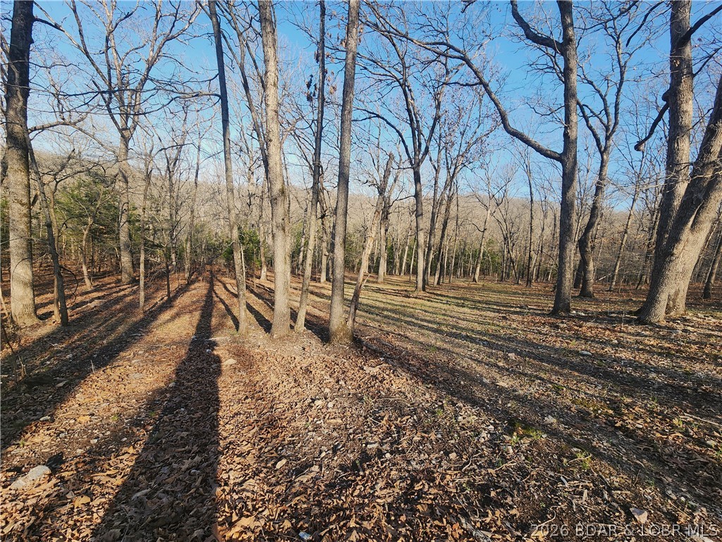 18 Brown Road Tuscumbia, MO 65082 - Photo 36 of 57