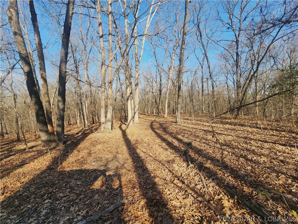 18 Brown Road Tuscumbia, MO 65082 - Photo 37 of 57