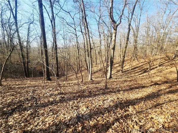 $930,000 | 18 Brown Road, Tuscumbia, MO 65082