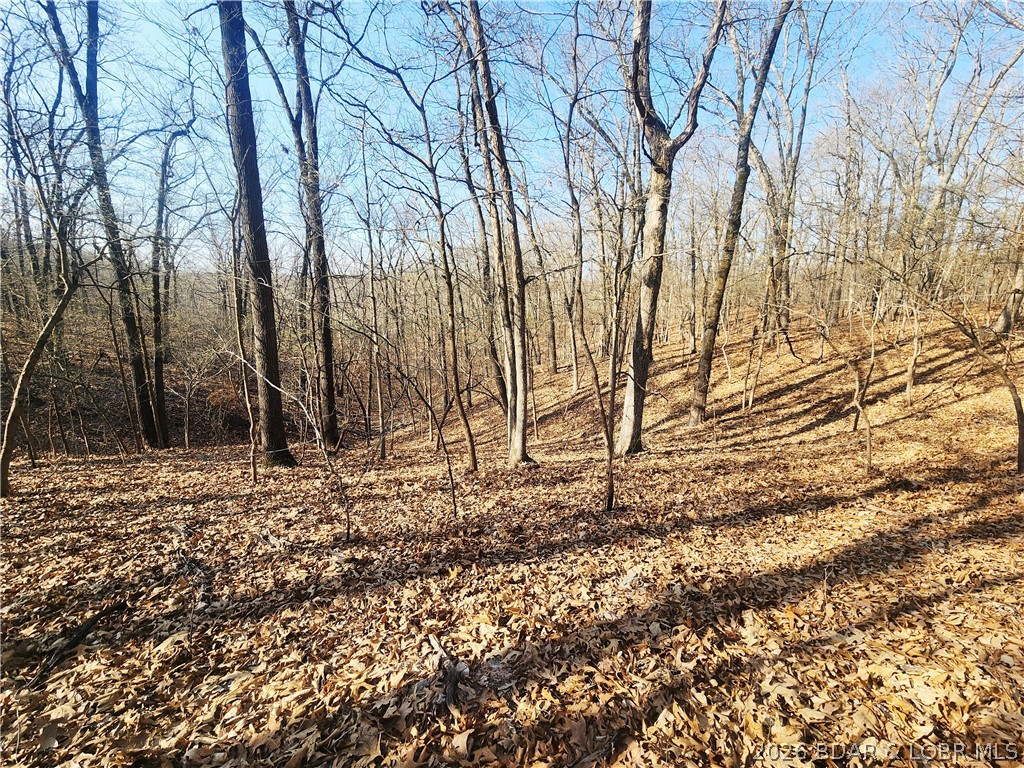 18 Brown Road Tuscumbia, MO 65082 - Photo 38 of 57