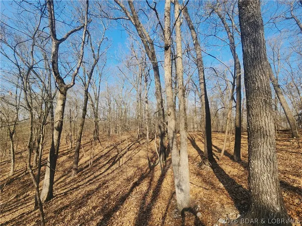 $930,000 | 18 Brown Road, Tuscumbia, MO 65082