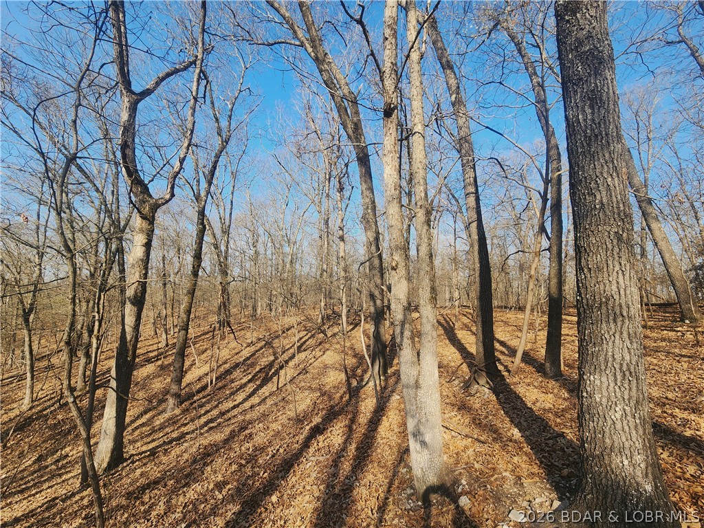 18 Brown Road Tuscumbia, MO 65082 - Photo 39 of 57