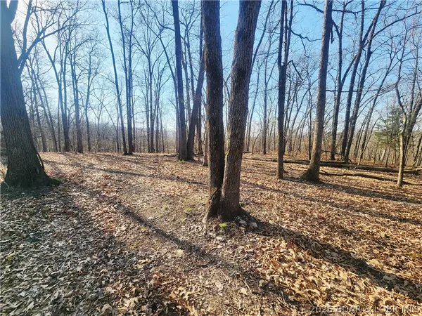 $930,000 | 18 Brown Road, Tuscumbia, MO 65082