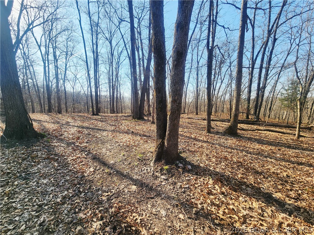 18 Brown Road Tuscumbia, MO 65082 - Photo 40 of 57