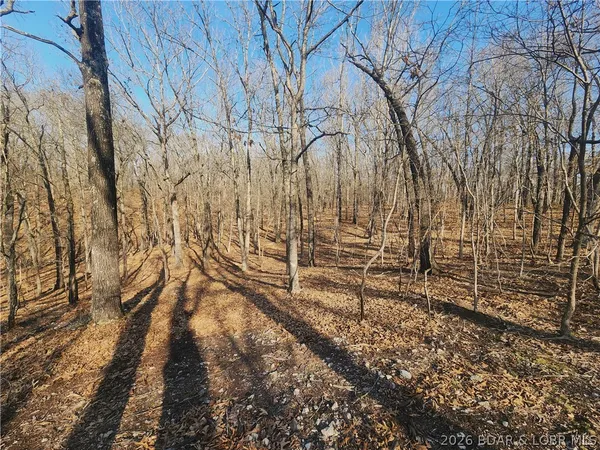 $930,000 | 18 Brown Road, Tuscumbia, MO 65082