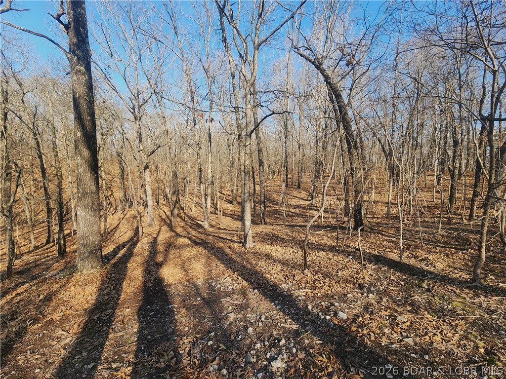 18 Brown Road Tuscumbia, MO 65082 - Photo 41 of 57