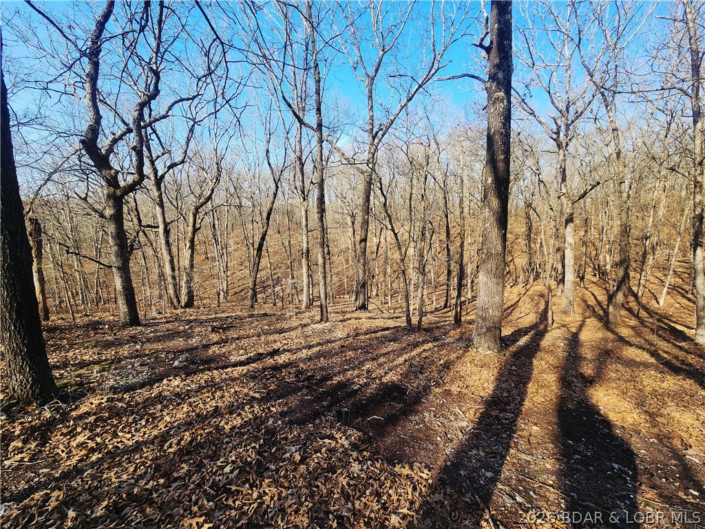18 Brown Road Tuscumbia, MO 65082 - Photo 42 of 57