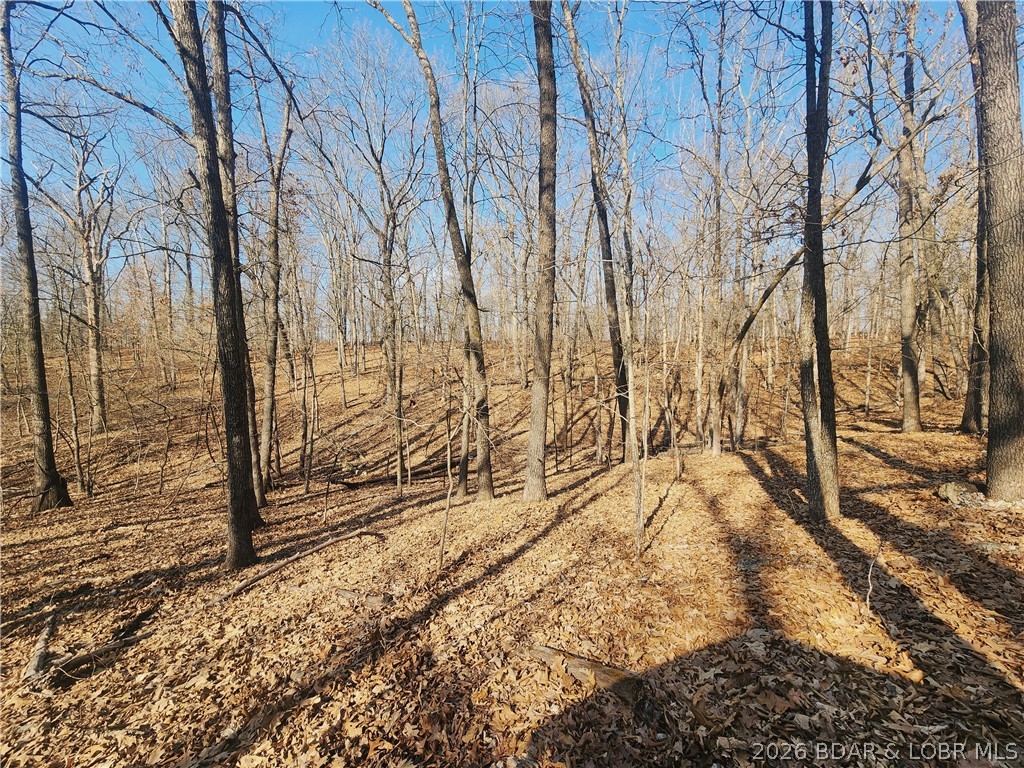 18 Brown Road Tuscumbia, MO 65082 - Photo 43 of 57