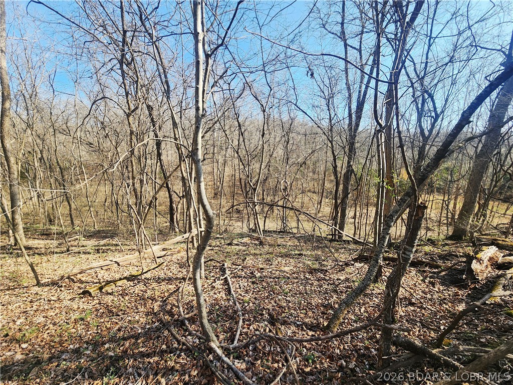 18 Brown Road Tuscumbia, MO 65082 - Photo 45 of 57