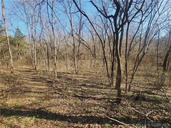 $930,000 | 18 Brown Road, Tuscumbia, MO 65082