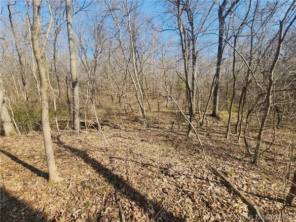 $930,000 | 18 Brown Road, Tuscumbia, MO 65082