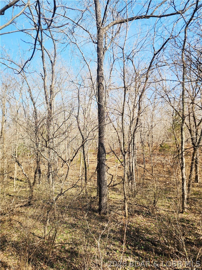 18 Brown Road Tuscumbia, MO 65082 - Photo 48 of 57