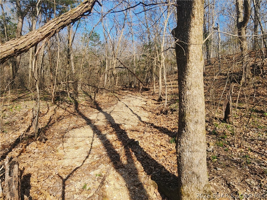 18 Brown Road Tuscumbia, MO 65082 - Photo 49 of 57