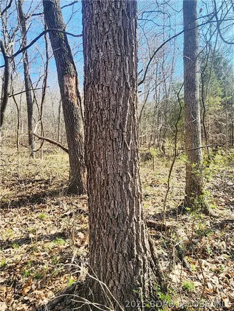 $930,000 | 18 Brown Road, Tuscumbia, MO 65082