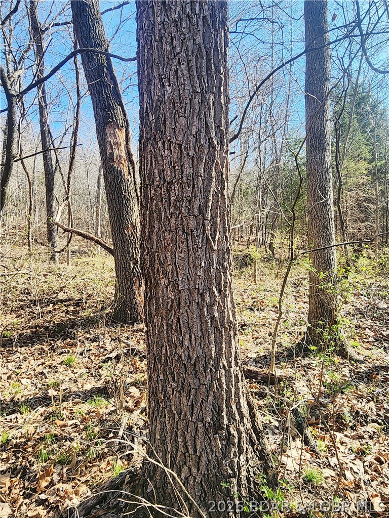 18 Brown Road Tuscumbia, MO 65082 - Photo 50 of 57