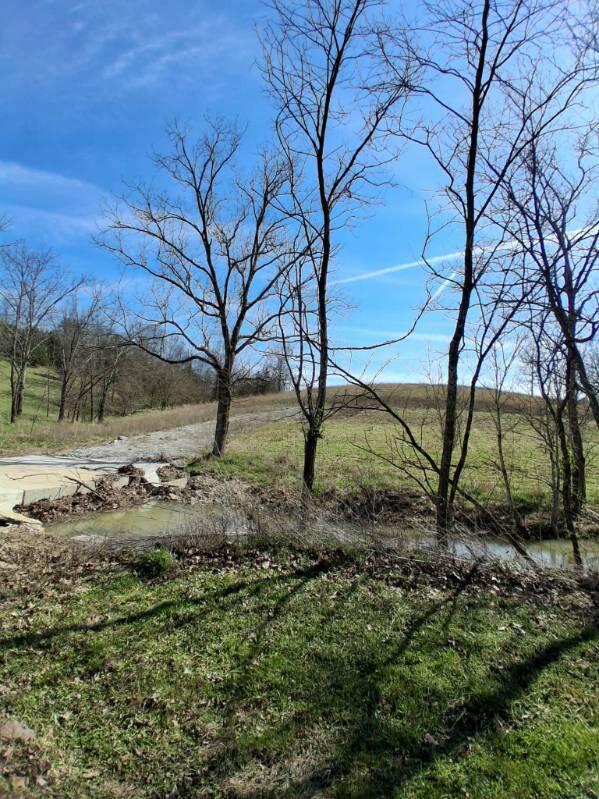 105 Scaffold Lick Creek Road Berry, KY 41003 - Photo 5 of 8