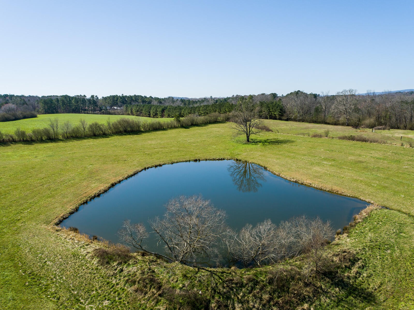 0 Kemp Road LaFayette, GA 30728 - Photo 3 of 19 Gallery Image 3