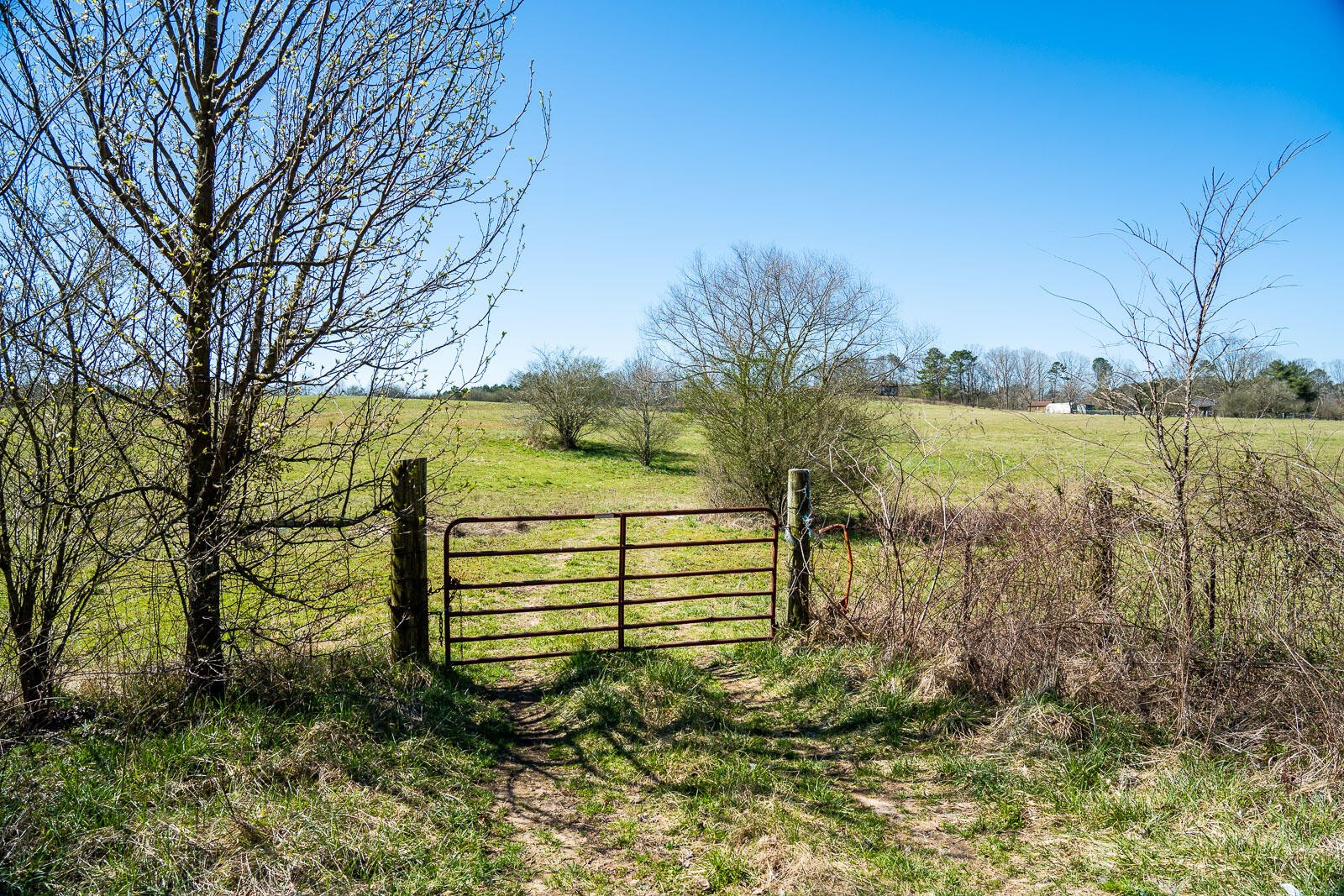 0 Kemp Road LaFayette, GA 30728 - Photo 6 of 19 Gallery Image 6