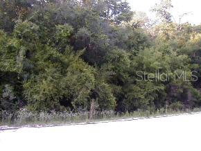 0 Southeast 2nd Street Road High Springs, FL 32643 - Photo 1 of 1 Gallery Image 1
