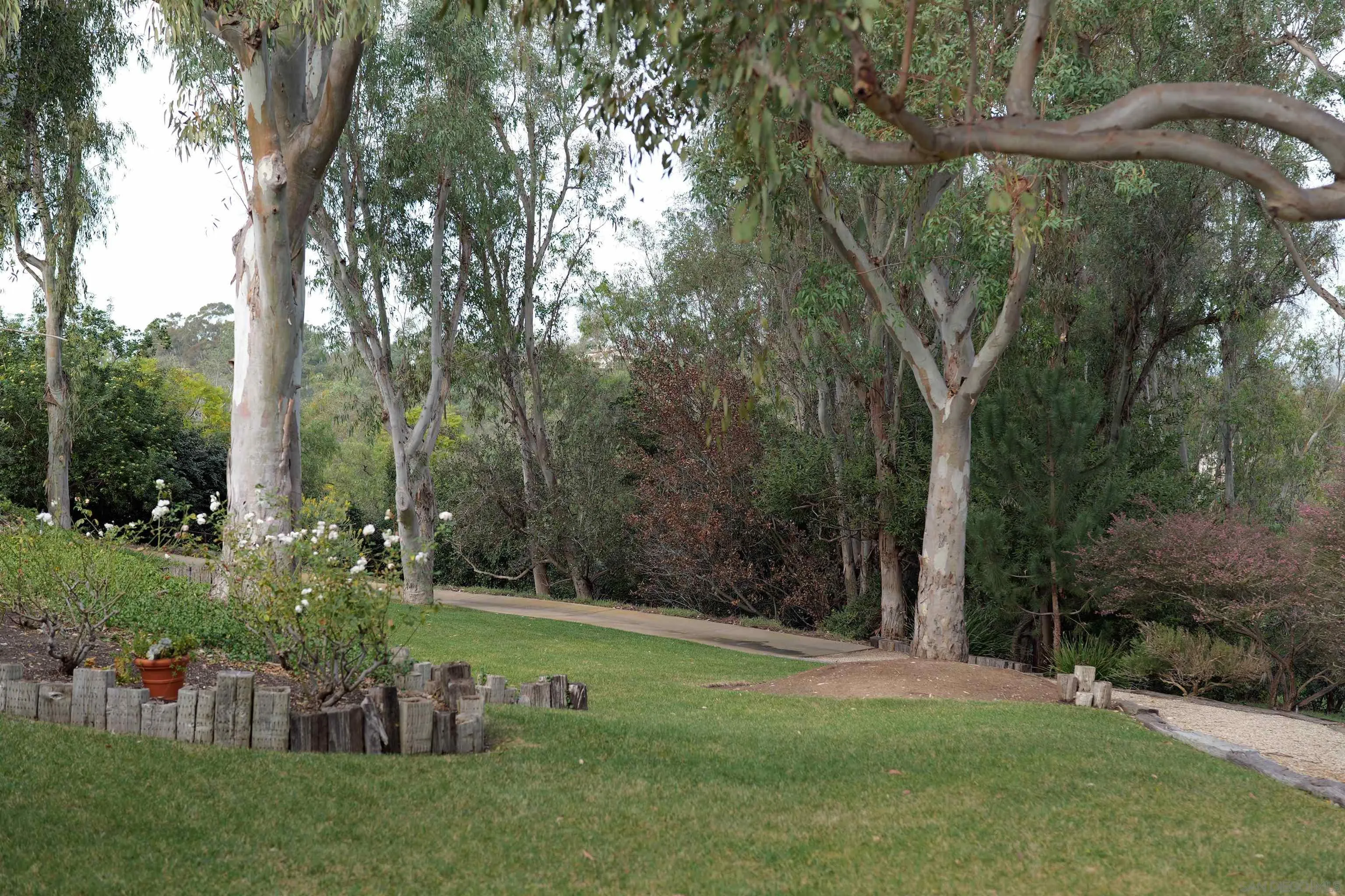 5443 Calzada Del Bosque Rancho Santa Fe, CA 92067 - Photo 28 of 30
