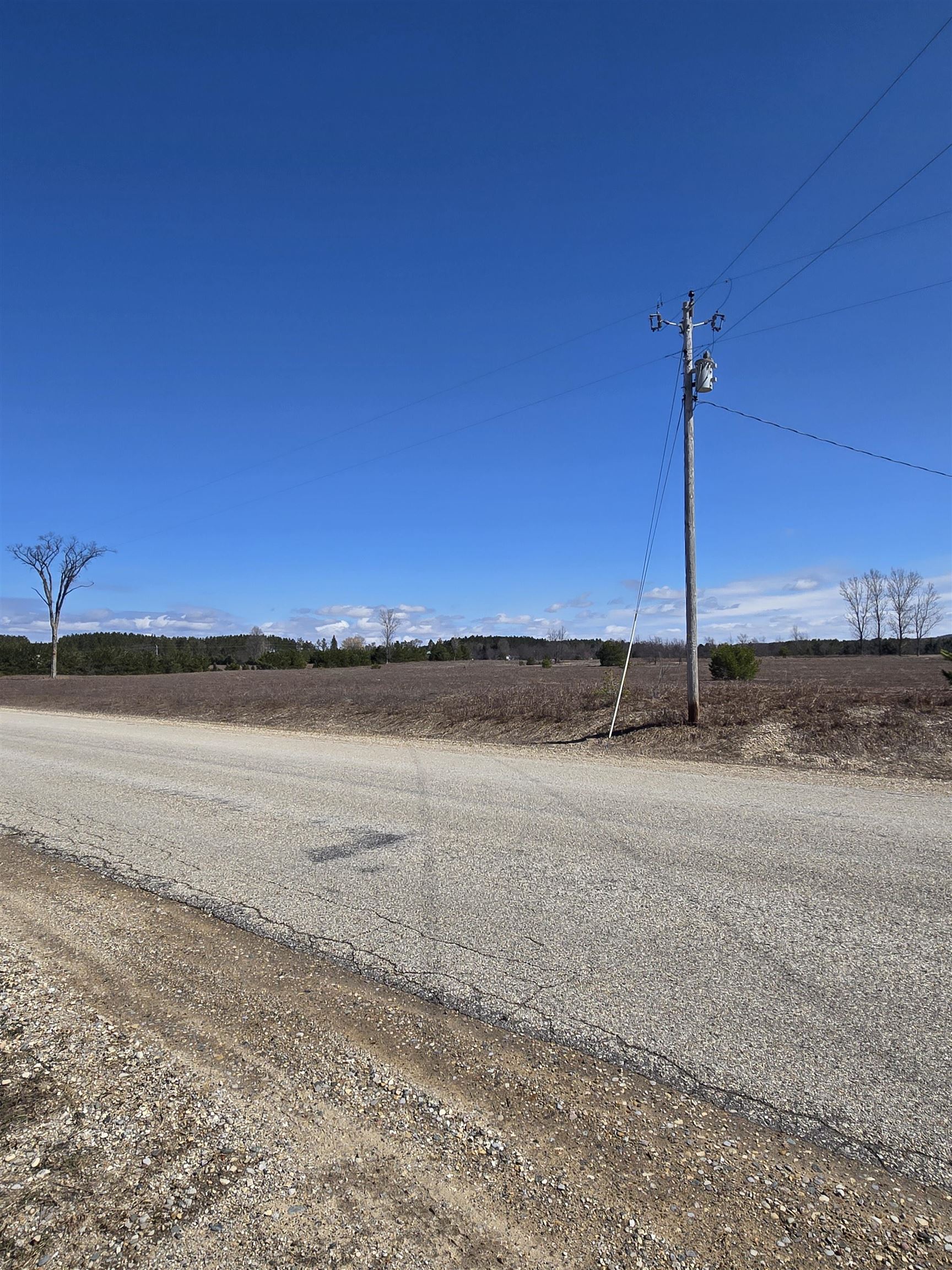 B Johnson Road, Unit LOT: B Mancelona, MI 49659 - Photo 24 of 48