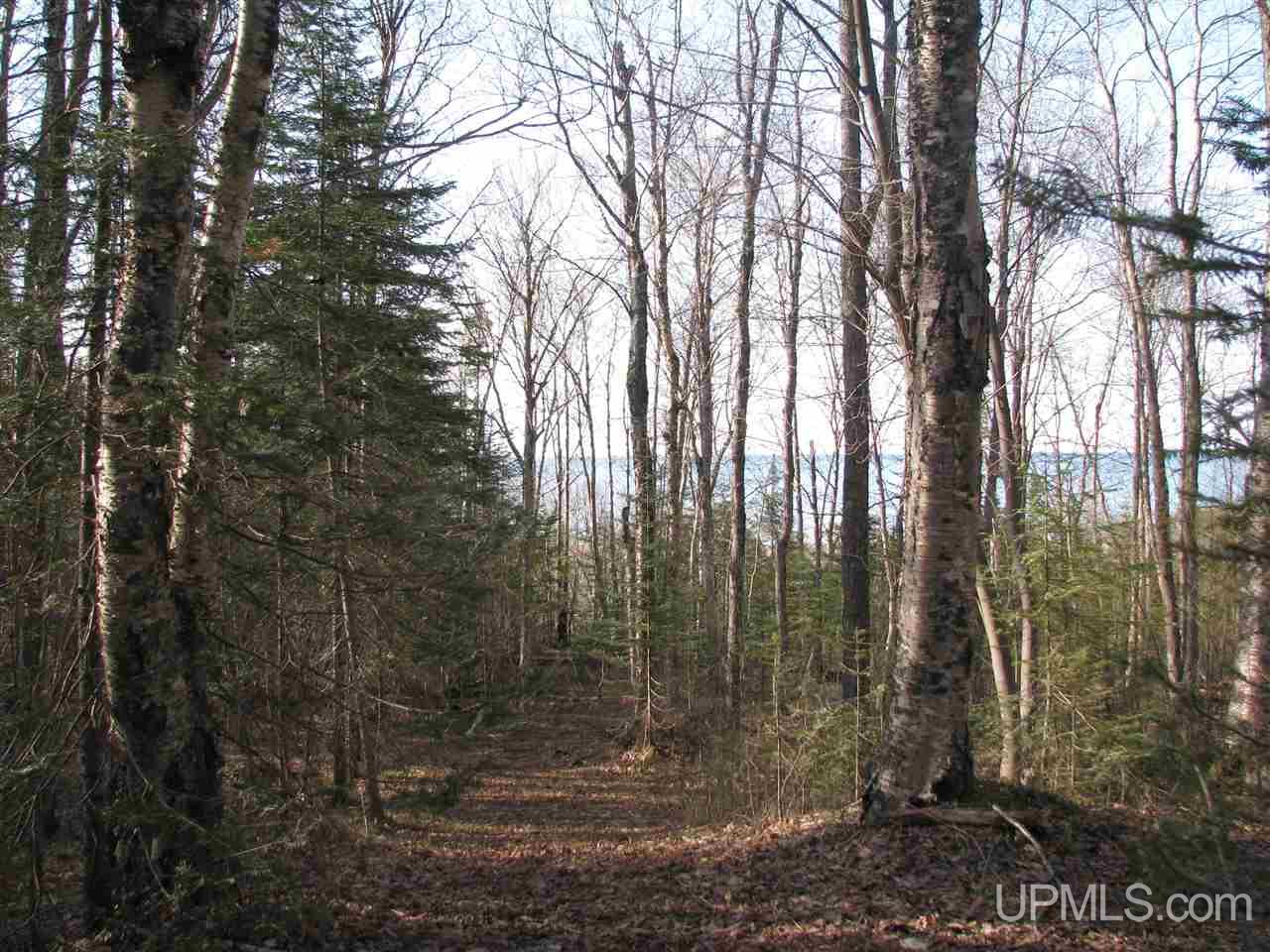 Tbd County Rd H-58 Grand Marais, MI 49839 - Photo 4 of 11