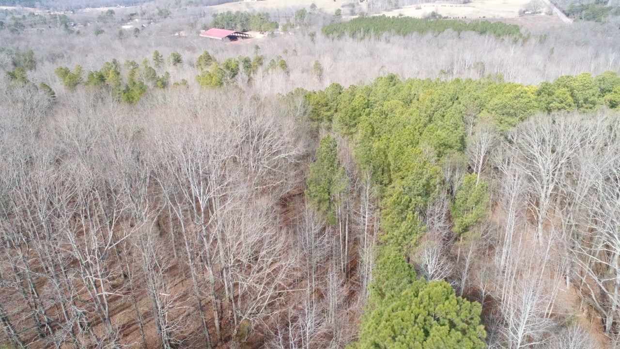 706 Zion Church Road Easley, SC 29642 - Photo 3 of 46 Gallery Image 3