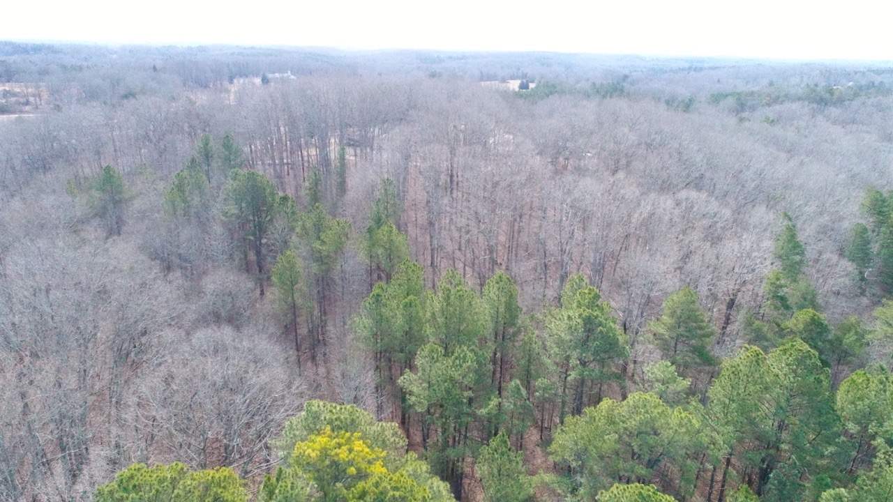 706 Zion Church Road Easley, SC 29642 - Photo 10 of 46 Gallery Image 10