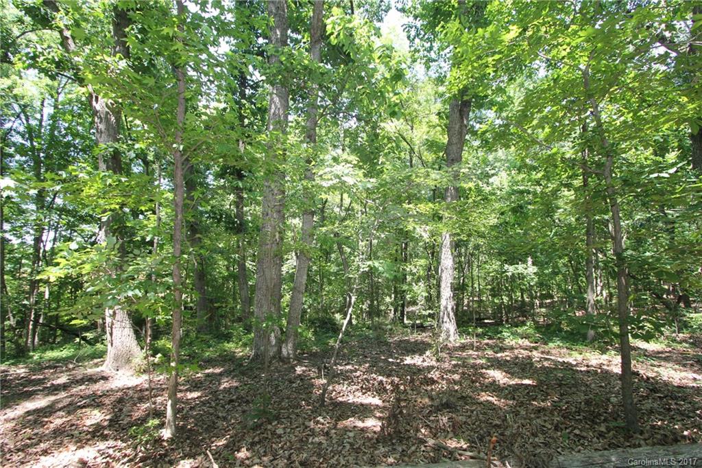 3580 Upper White Store Road Peachland, NC 28133 - Photo 7 of 15 a view of a forest with trees