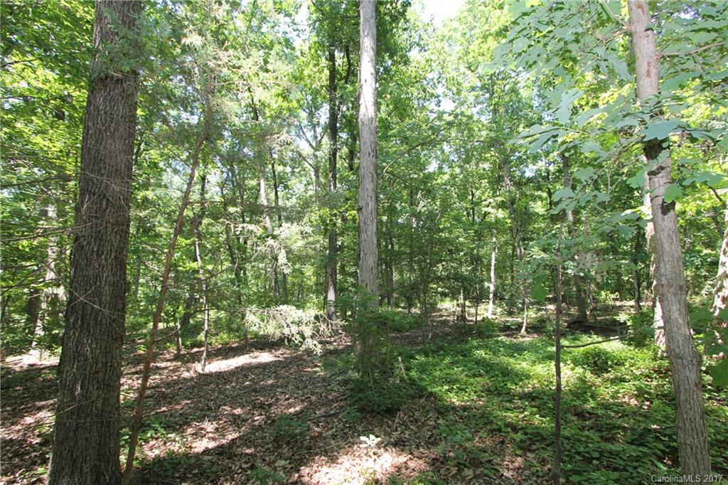 3580 Upper White Store Road Peachland, NC 28133 - Photo 9 of 15 a view of forest