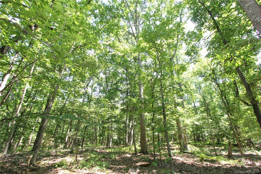 3580 Upper White Store Road Peachland, NC 28133 - Photo 10 of 15 a view of a yard