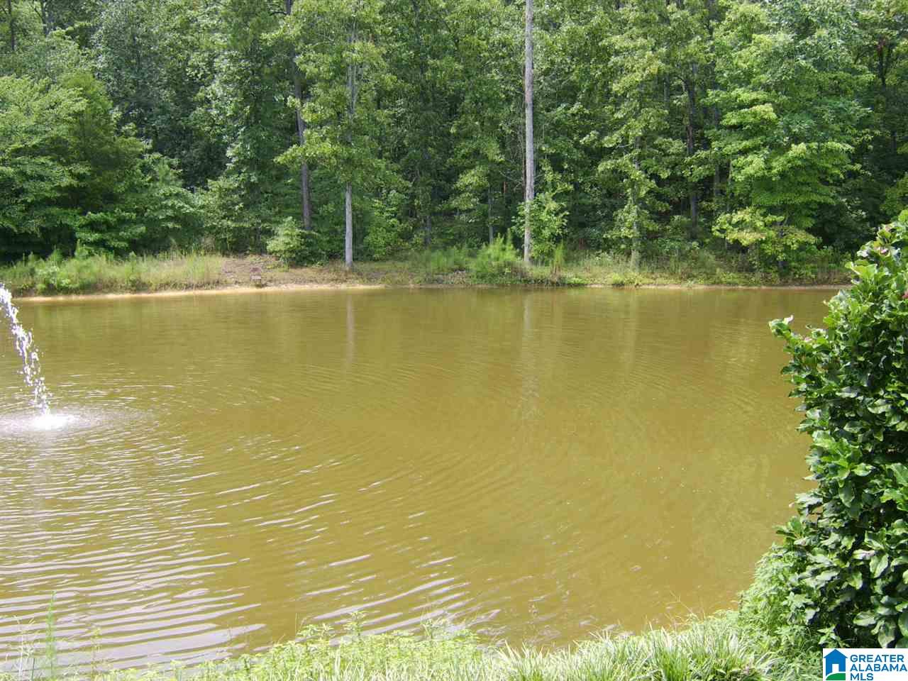 373 Spring Road Ohatchee, AL 36271 - Photo 34 of 41
