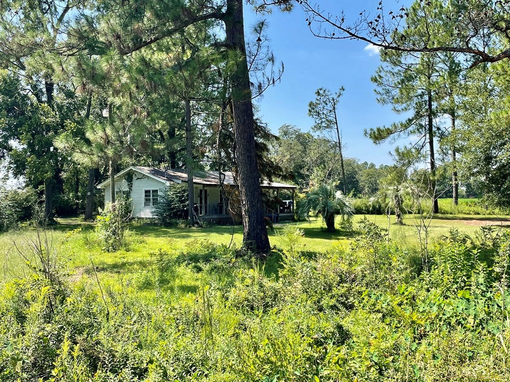 6 Indian Camp Road Ray City, GA 31645 - Photo 2 of 7 Gallery Image 2