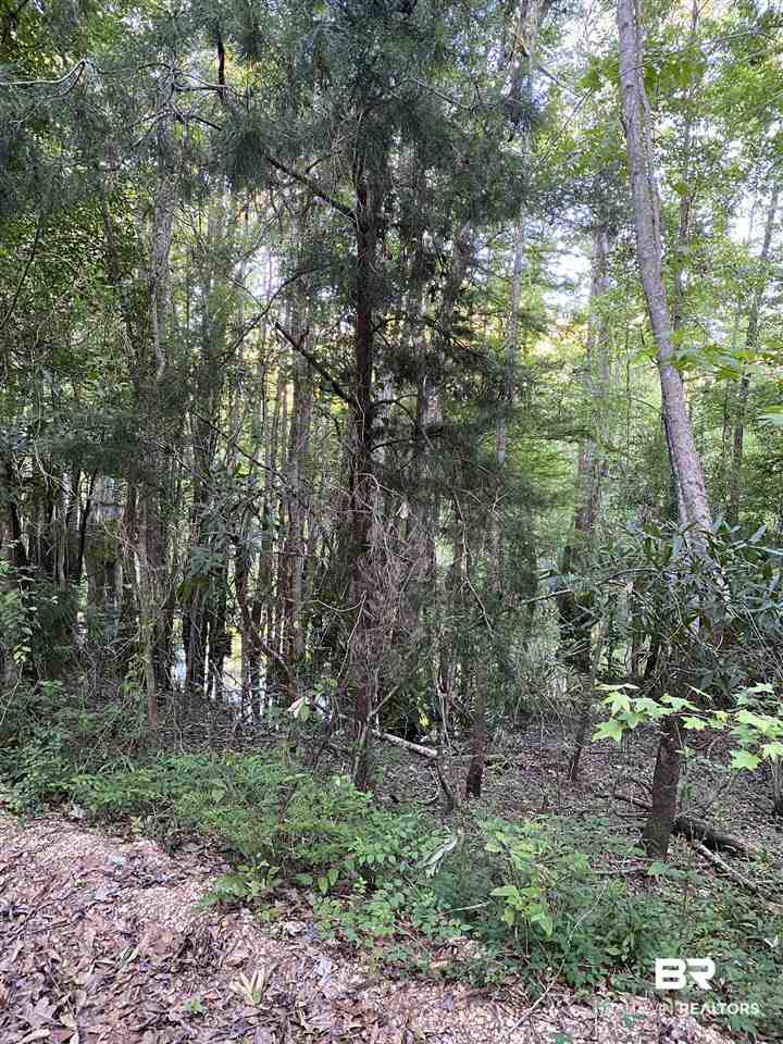 0 Highway 4 Jay, FL 32565 - Photo 13 of 50