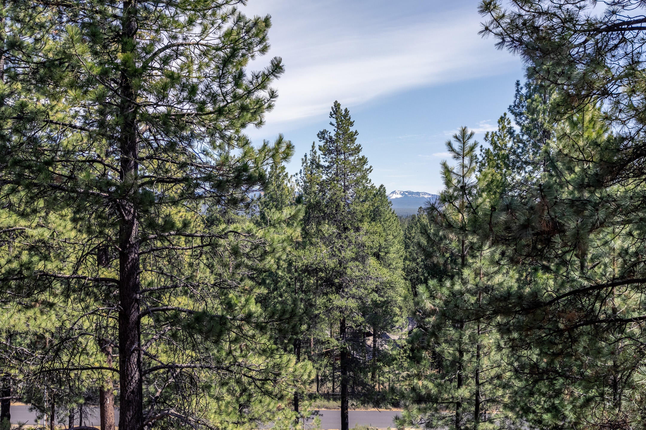 56959 Besson Road Bend, OR 97707 - Photo 26 of 38 2019_05_07_56959_besson_rd-5