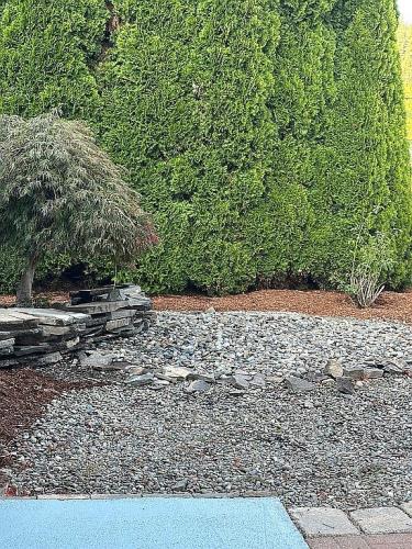 104 Terumi Lane Longview, WA 98632 - Photo 3 of 49