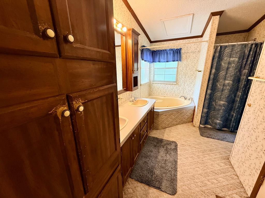 3231 County Road 46 Abbeville, AL 36310 - Photo 12 of 25