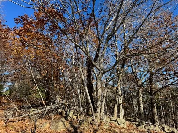 $45,000 | R12-l50-1 Tolman Road, Warren, ME 04864