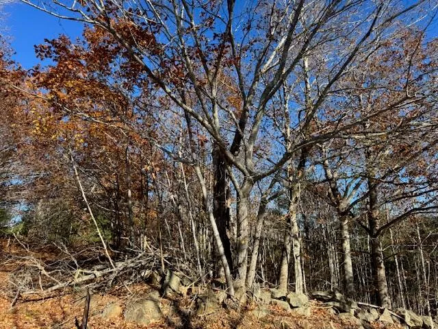 $45,000 | R12-l50-1 Tolman Road, Warren, ME 04864