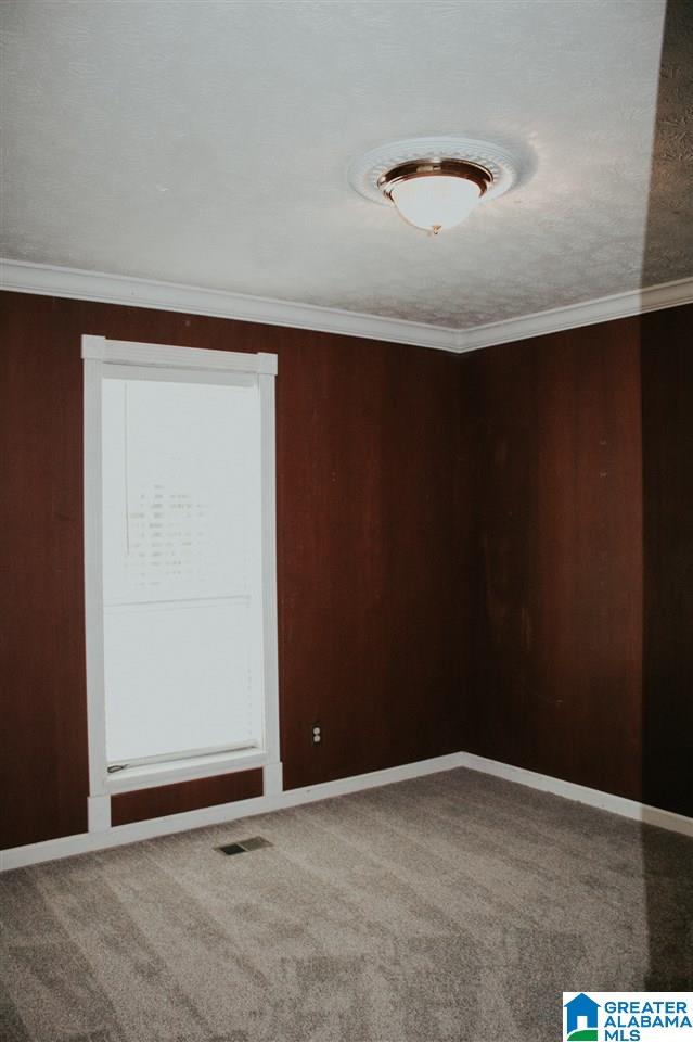 958 Possum Trot Road Piedmont, AL 36272 - Photo 27 of 39