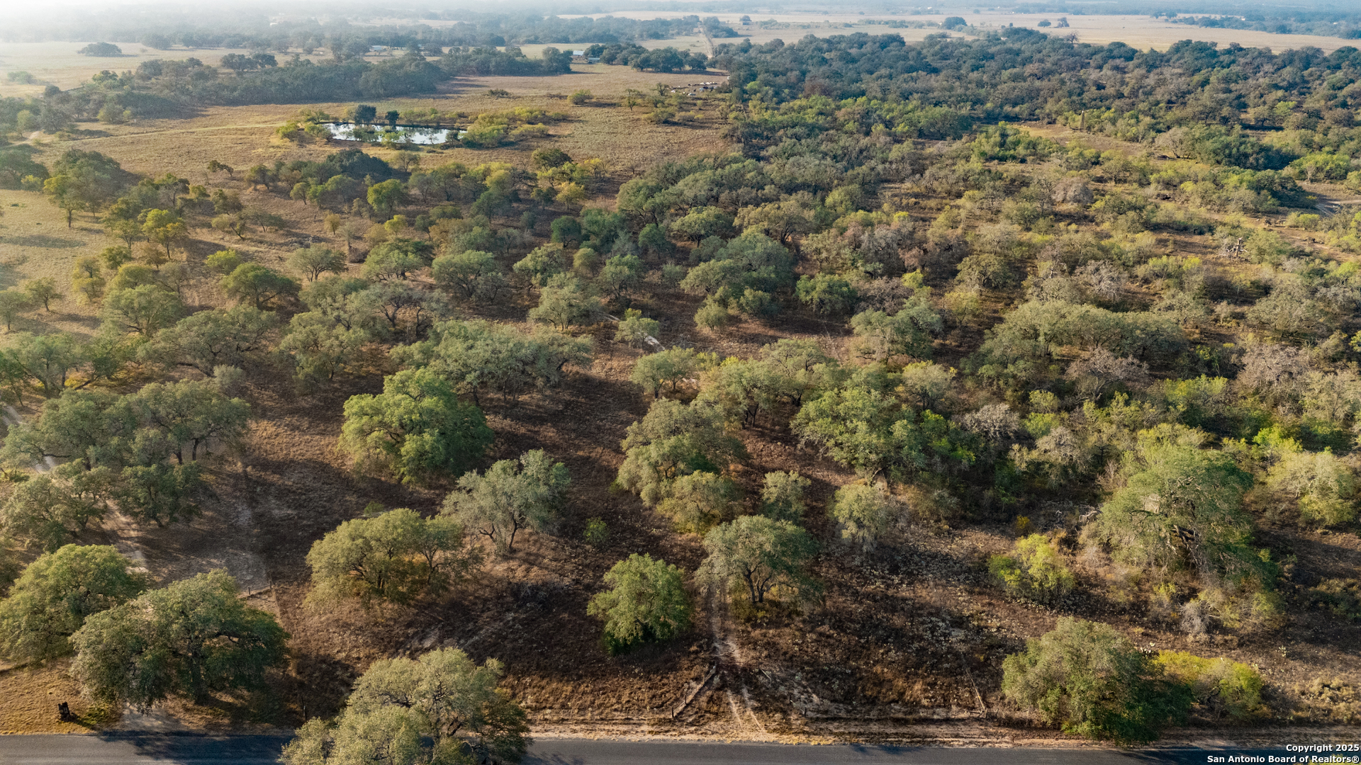 970 Newman Road Poteet, TX 78065 - Photo 12 of 30 a view of lake and green space