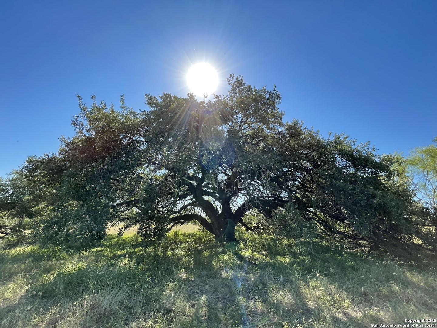 970 Newman Road Poteet, TX 78065 - Photo 4 of 30 a sunset view