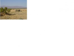 2754 Null Yucca, AZ 86438 - Photo 4 of 6 Additional Photo